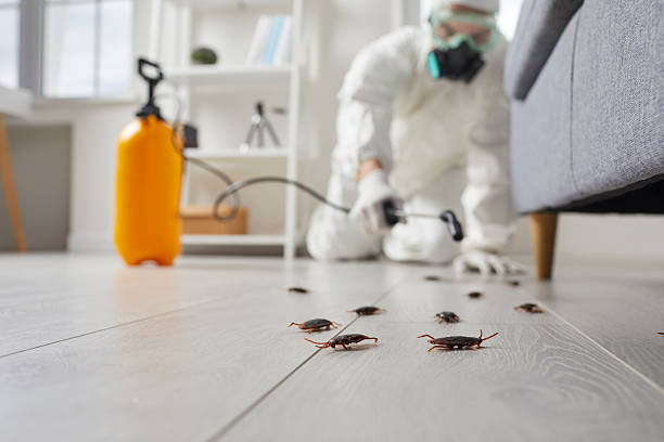 Trusted Cockroach Control service in State College, PA - Nex Pest Control