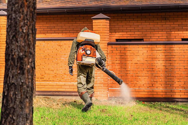 Trusted Ant Control service in State College, PA - Nex Pest Control